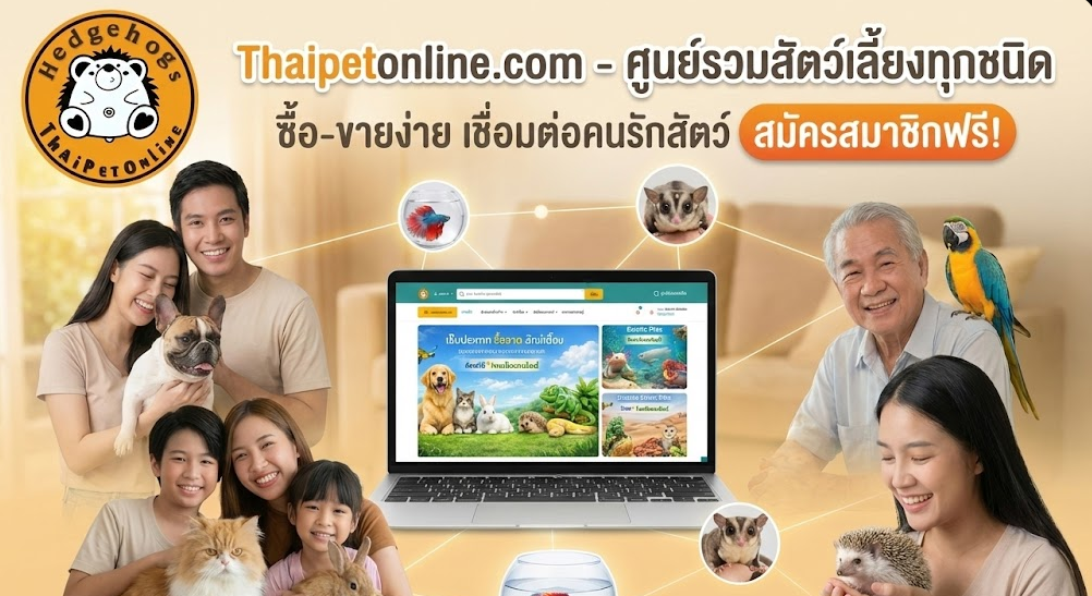 ThaiPetC1