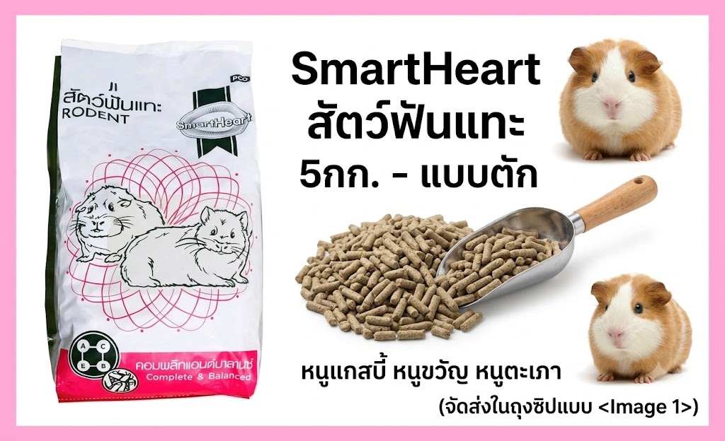พี่หวานบ้านสัตว์เล็กExoticสัตว์ฟันแทะ5โล หนูแกสบี้ หนูขวัญ หนูตะ