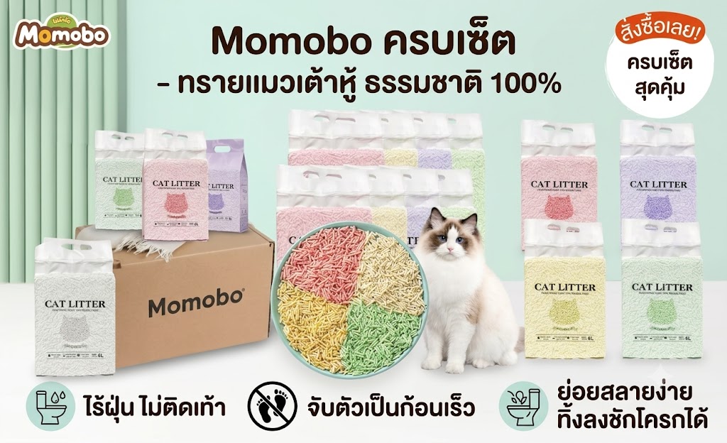 Momobo แหล่งสินค้าสัตว์เลี้ยง