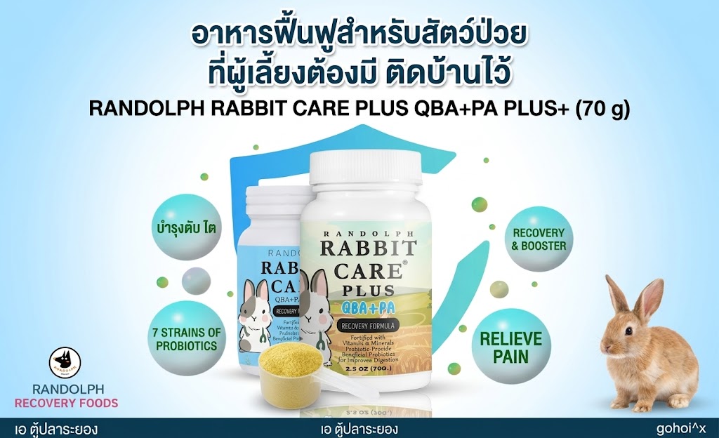 Randolph Rabbit Care Recovery Formula QBA+PA Plus+ แรนดอล์ฟ 
