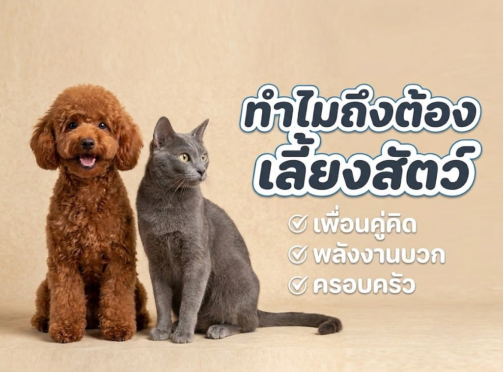ทำไมเราถึงต้องเลี้ยงสัตว์