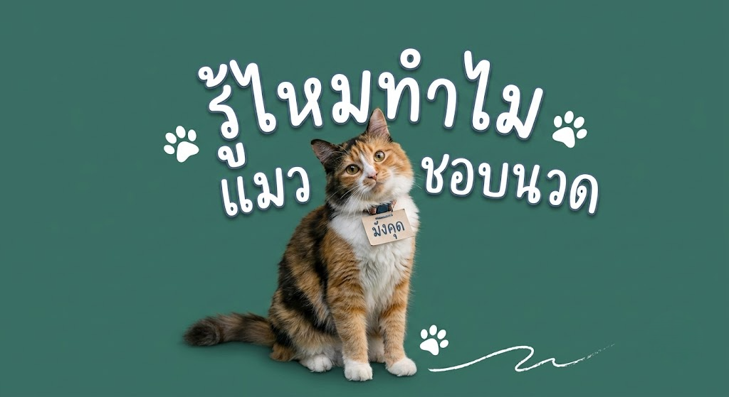 รู้ไหมทำไมแมวชอบ "นวด"?