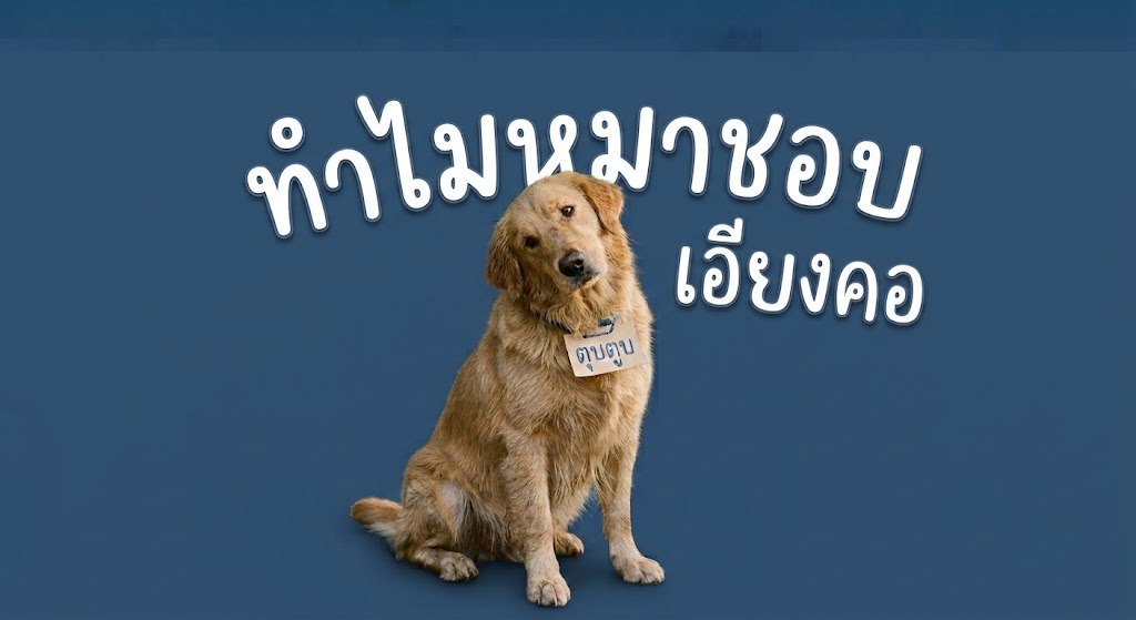 ทำไมหมาชอบเอียงคอ ?