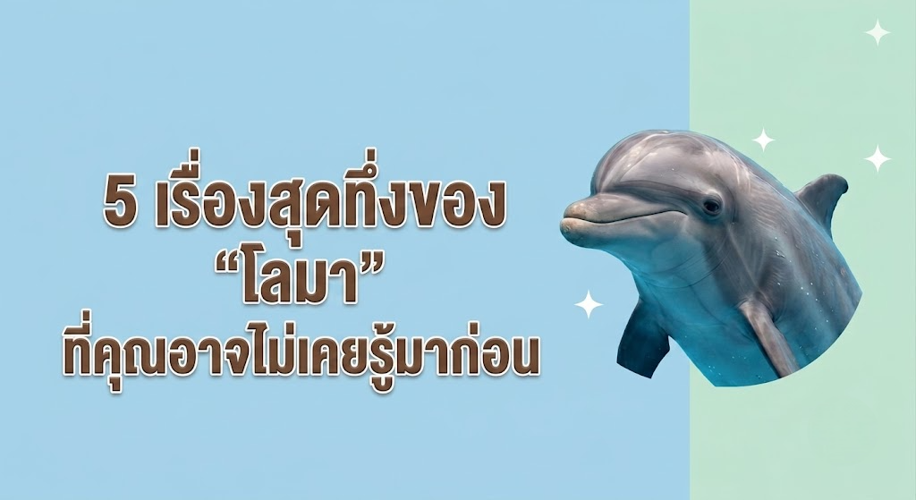 โลมา สัตว์สังคมตัวจริง!