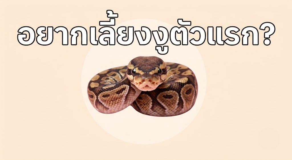 อยากเลี้ยงงูตัวแรก?