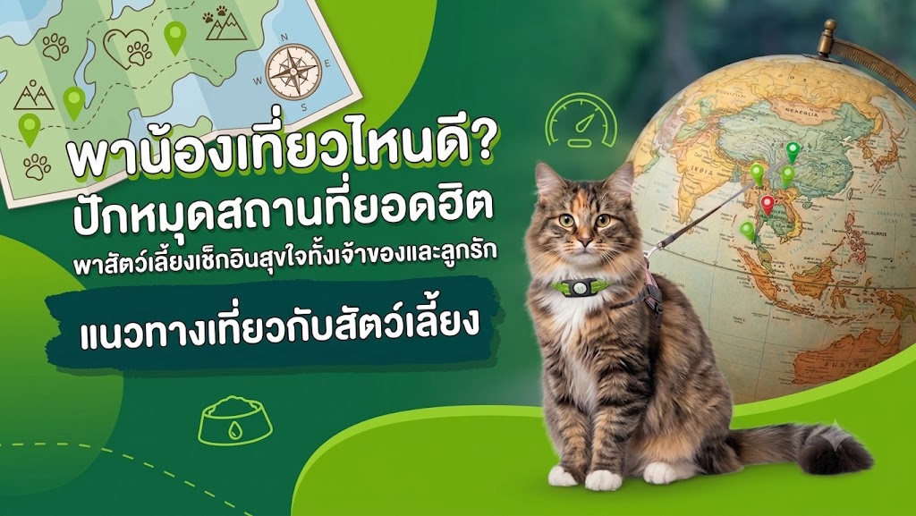 พาน้องเที่ยวไหนดี? ปักหมุดสถานที่ยอดฮิต พาสัตว์เลี้ยงเช็กอินสุขใจทั้งเจ้าของและลูกรัก