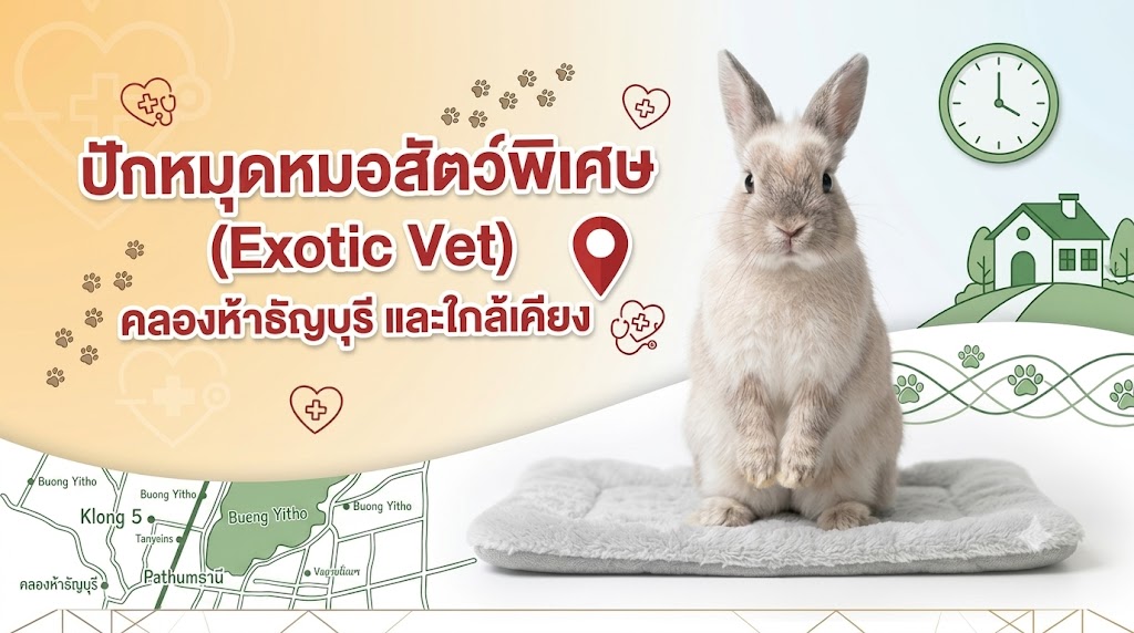 สัตว์เลี้ยงพิเศษป่วย... ไปที่ไหนดี?