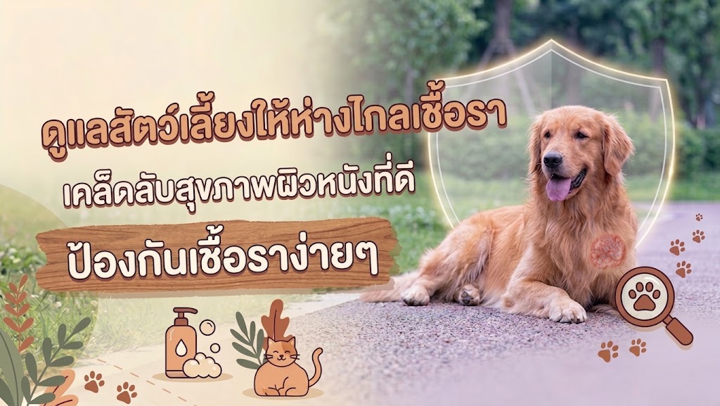 วิธีป้องกันไม่ให้เชื้อรากลับมาเป็นซ้ำ?