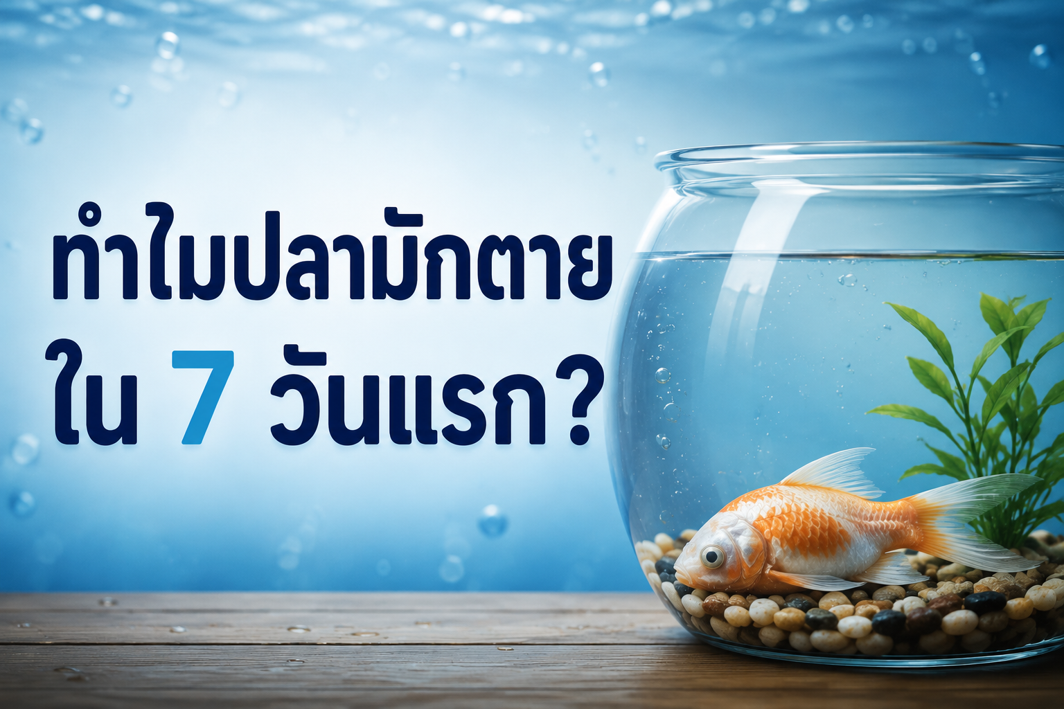 ทำไมปลามักตายใน 7 วันแรก?