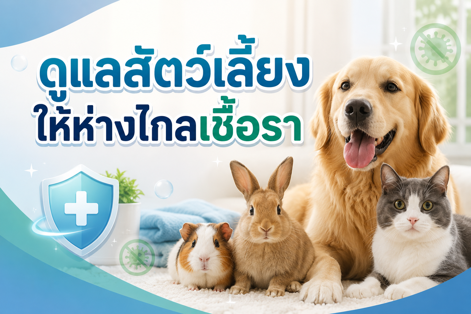 วิธีป้องกันไม่ให้เชื้อรากลับมาเป็นซ้ำ?