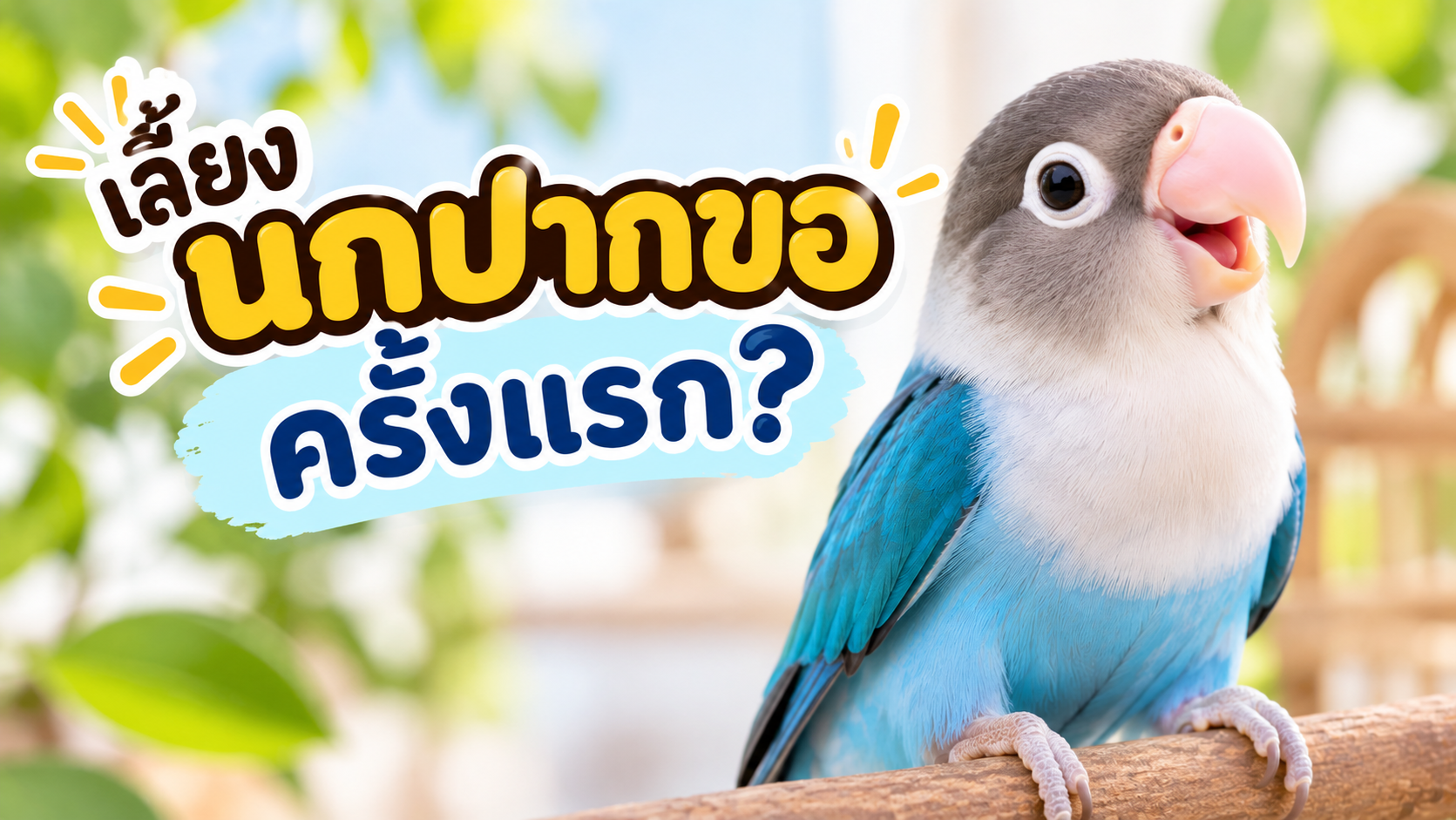 อยากเลี้ยงนกแก้วตัวแรก?