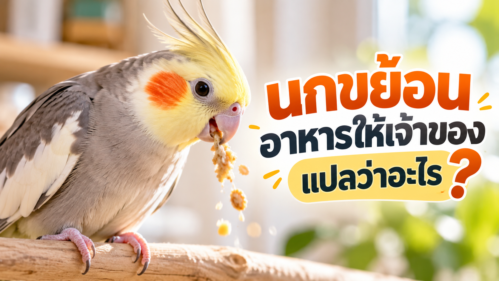 นกขย้อนอาหารให้เจ้าของ แปลว่าอะไร?