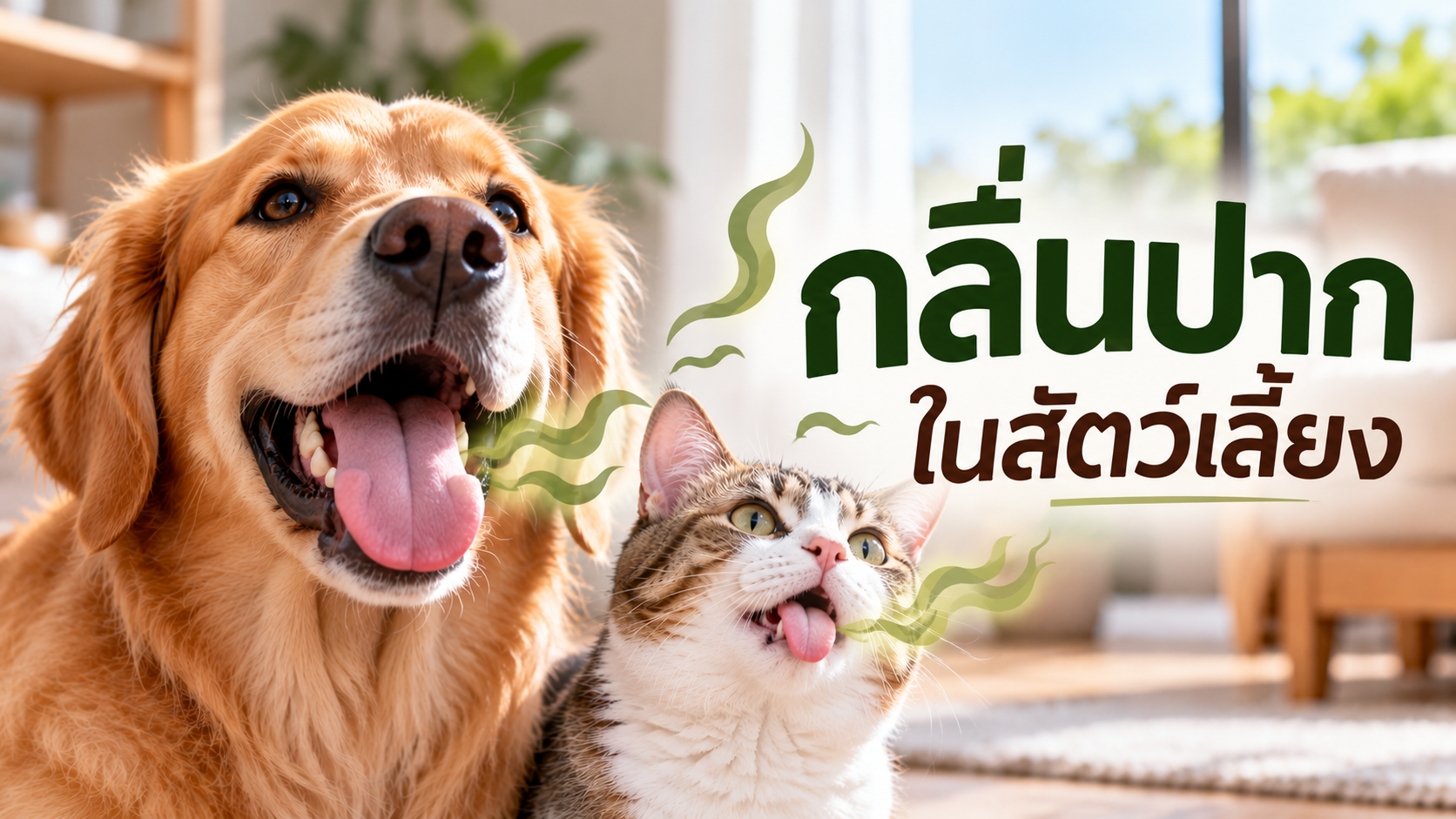 กลิ่นปากในสัตว์เลี้ยงเกิดจากอะไร?