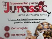 โรงพยาบาลสัตว์จูราสสิค - Jurassic Exotic & Wildlife Animal Hospi