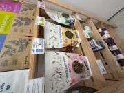 โรงพยาบาลสัตว์จูราสสิค - Jurassic Exotic & Wildlife Animal Hospi
