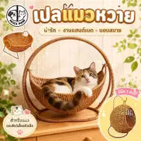 บ้านแมวหวาย ตะกร้าแมว เปลแมว ตะกร้าแขวน กึ่งปิด วัสดุธรรมชาติ ระบายอากาศดี คอนโดแมวขนาดเล็ก