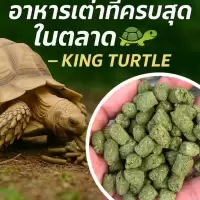 อาหารเม็ดสำหรับเต่าบก King Turtle แบบกระสอบ