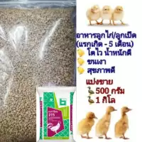 อาหารไก่เม็ดเล็ก (1กิโล) อาหารลูกไก่ ลูกเป็ด ลูกห่าน นกระทา รวมถึงไก่รุ่นและเป็ดรุ่น
