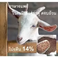อาหารแพะ อาหารแกะ อัดเม็ด บรรจุถุง 1 กิโลกรัม
