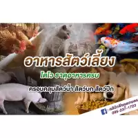 จำหน่าย อาหารสัตว์ สุนัข แมว ปลากินพืช ปลาสวยงาม กบ เป็ด หมู ไก่เนื้อ ไก่ไข่ สอบถาม คูลเกษตร KK1