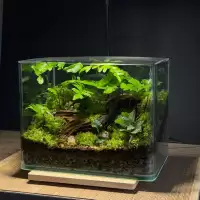 สวนขวดแก้วขอบโค้งนาโน+ฝาอะคลิลิค terrarium ของแต่งบ้าน ของขวัญ