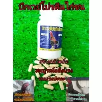 ชุดเลี้ยงไก่ชน บึกเวย์โปรตีนไก่ชน ขนาดบรรจุ 100 เม็ด ยาบำรุงไก่ชนสร้างกล้ามเนื้อให้ไก่ชนแข็งแรงทนต่อแรงปะทะ