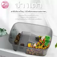 แทงค์เลี้ยงเต่า คุณภาพดี อ่างเลี้ยงเต่า กระบะเลี้ยงเต่า สำหรับเต่าน้ำ เต่าญี่ปุ่น มีหลายแบบ