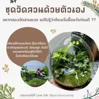 พร้อมส่ง ชุดจัดสวนขวดแก้ว Premium Diy Terrarium ของขวัญ​