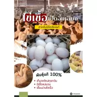 ไข่เชื้อเป็ดอี้เหลียง ไข่ใบใหญ่ ๆ สายพันธุ์อี้เหลียงแท้100% เลี้ยงง่าย โตเร็ว เนื้อเยอะ ไข่ดก ไข่เก็บสดใหม่ทุกวัน