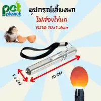 อุปกรณ์เลี้ยงนก ไฟส่องไข่นก ไฟนก ไฟฉายส่องไข่นก อุปกรณ์สำหรับ นก นกแก้ว นกหงส์หยก ไก่ ไฟส่องไข่ ฟักไข่