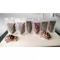 มีของแถมทุกออเดอร์