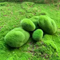SECRETSPACE ประดิษฐ์ Moss หิน Rock Decor ปลอม Mosy Rock สําหรับ Terrarium Fairy Garden Micro ภูมิทัศน์บอนไซถังปลาตกแต่ง F5T2