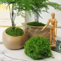 SECRETSPACE ประดิษฐ์ Moss แผ่นปลอมหญ้าสีเขียวสําหรับกระถางต้นไม้ตกแต่ง DIY Terrarium Micro ภูมิทัศน์บอนไซสวนอุปกรณ์ N4Q2