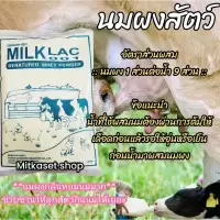 นมผงสัตว์มิลค์แลค001 (นมผงสำหรับสัตว์ หมู วัว ควาย แพะ แกะ)