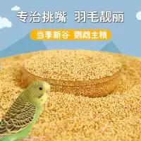 อาหารนก ใหม่เมล็ดสีเหลืองเปลือก Xiaomi อาหารนก อาหารนก อาหารนก อาหารนกแก้วขนาดกลางขนาดเล็ก Xuanfeng Grain Peony เมล็ดสีเหลือง