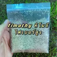 เมล็ดหญ้าทิโมธี Timothy อัลฟาฟ่า Alfalfa 30กรัม ปลูกหญ้าที่บ้านสำหรับให้เต่ากิน อาหารเต่าบก
