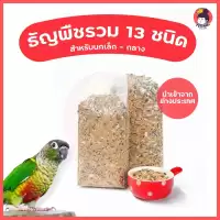 ธัญพืชรวม 13 ชนิด อาหารนกแก้ว อาหารนกธัญพืช ปริมาณ 500 gอาหารนก อาหารนกและอาหารเสริม นกแก้ว สัตว์