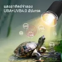 ขั้วหลอดไฟเซรามิกE27 กกไฟ ไฟกกเต่า ไฟกกลูกนก ไฟกกลูกไก่ ให้ความอบอุ่นเต่าบก หลอดไฟเซรามิค 25-100w