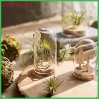 [chiwanjiiw] ฝาครอบแก้วโปร่งใส Succulent Flower Terrarium สําหรับเครื่องประดับ
