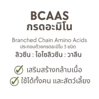(ชนิดผง) โปรตีนไก่ชนผสม BCAAs เสริมชุดเลี้ยงไก่ชนและบำรุงไก่ชนอย่างมีคุณภาพ