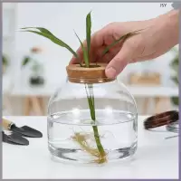 1แก้ว Terrarium คอนเทนเนอร์ไม้ Stopper สําหรับพืชไฮโดรโปนิกส์และสวนขนาดเล็กมิถุนายนhaoyip