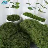 OPENMALL ประดิษฐ์ Moss Mat หญ้าปลอมสําหรับ Terrarium ตกแต่ง Miniature ภูมิทัศน์สนามหญ้าสําหรับ DIY Craft Fairy Garden Supply บอน