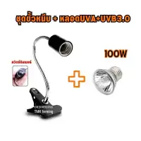 ชุดโคมไฟขาหนีบหลอดไฟ Minisun UVA+UVB 3.0 50W/75W/100W​ ขั้วหลอดไฟเซรามิค โคมไฟทนความร้อน สำหรับ ​ลูกนก เต่าน้ำเต่าบก PL