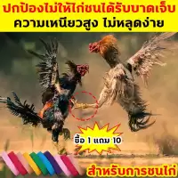 ปกป้องไก่ชน ป้องกันการบาดเจ็บ เทปไก่ชน ซื้อ1แถม10 ความเหนียวสูง ไม่หลุดง่าย เทปพันตอไก่ เทปพันไก่ชน ที่พันตอไก่