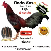ฉาบปีกไก่ชน ปีกต่อไก่ชน ปีกไก่ชน ตัดต่อปีก 1 ชุดใชัไก่โตเต็มวัย มี 40เส้น คัดพิเศษ ไม่เปาะ แถม กาว