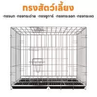 กรงสัตว์เลี้ยง กรงกระต่าย กรงกระต่ายขนาดใหญ่ กรงกระรอก กรงหนูแฮมเตอร์ กรงนก กรงพับ กรงกระต่ายราคาถูก
