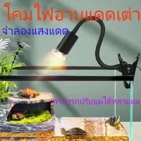 หลอดไฟให้ความร้อน MiniSun UVA​/UVB​ 3.0​ 25W/50W/75W​ สำหรับเต่าน้ำ​​ เต่าบก​ สัตว์เลื้อยคลาน E27 ขั้วหลอดไฟเซรามิค