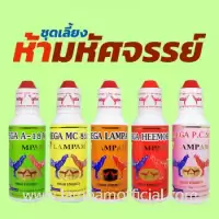 ชุด 5 มหัศจรรย์ ผลิตภัณฑ์เสริมอาหารสำหรับไก่ชน สำหรับไก่ออกชน