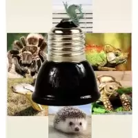 Ceramic lamp หลอดไฟเซรามิค​ หลอดไฟให้ความร้อน​(ไม่มีแสง) สำหรับกกไฟ ให้ความอบอุ่นเต่าบกสัตว์เลื้อยคลาน ใช้กับขั้วเซรามิค