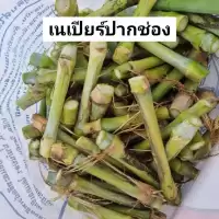 หญ้าเนเปียสด ท่อนพันธุ์หญ้าเนเปียร์50ท่อน หญ้าเนเปียร์